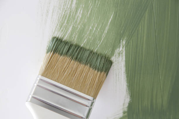 Mold Odor Removal Services in Coronita, CA