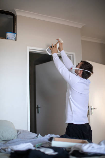 Best Environmental Consulting for Mold Prevention  in Coronita, CA
