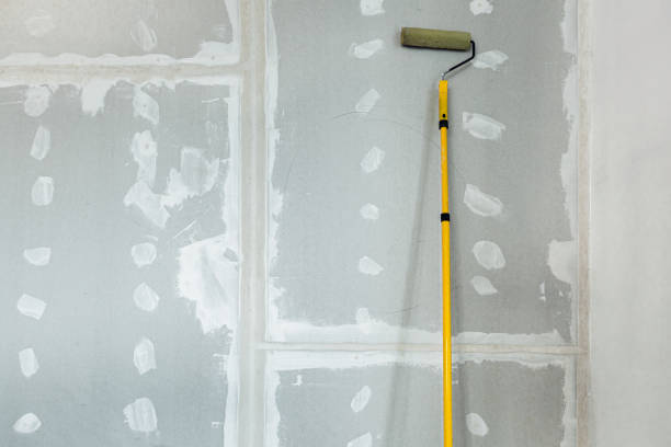 Best Basement Mold Removal  in Coronita, CA