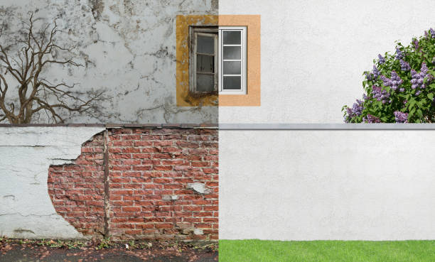 Best Post-Construction Mold Inspection  in Coronita, CA