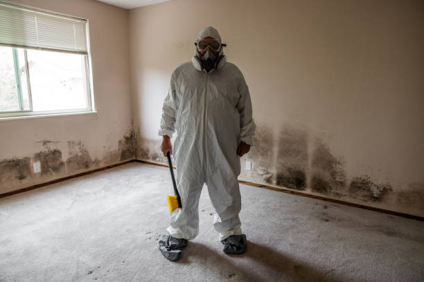Best Mold Prevention Services  in Coronita, CA